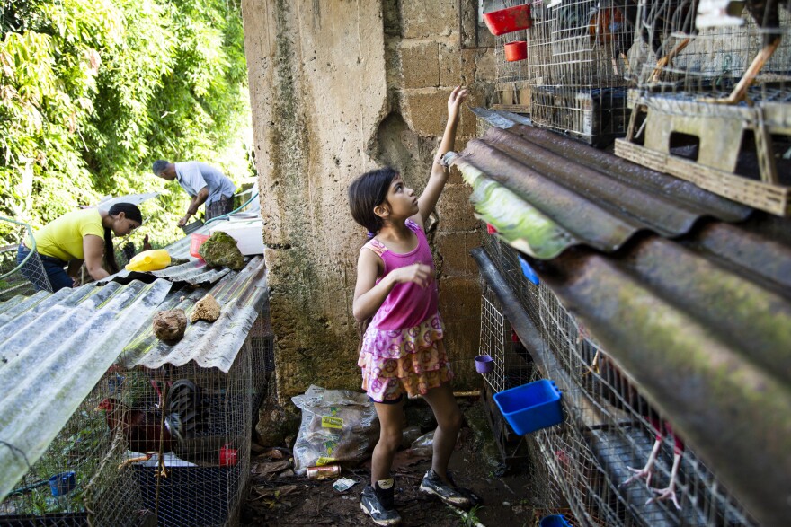 Torres, his wife Lizmary Rivera, and their 9-year-old daughter Janniela, at feeding time.