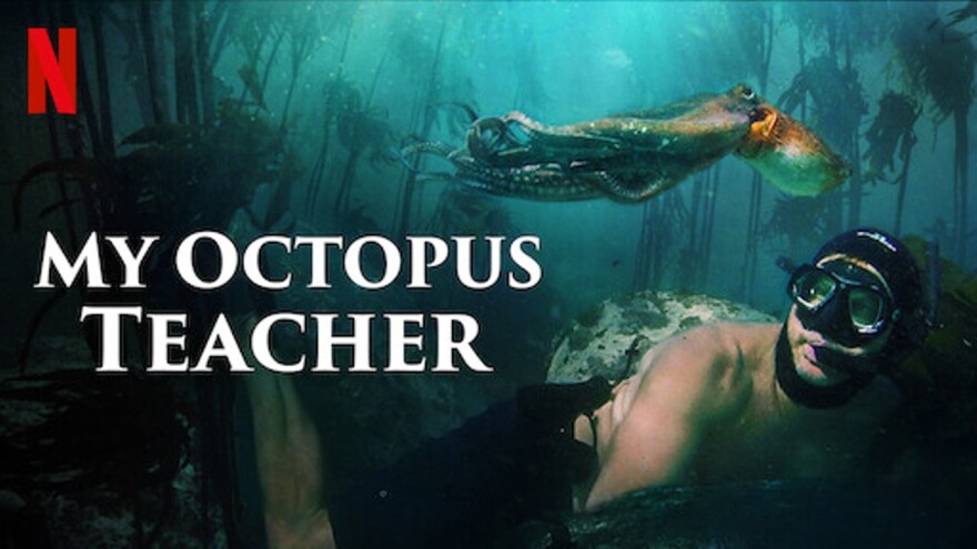 Environmental Film Festival Maymont My Octopus Teacher