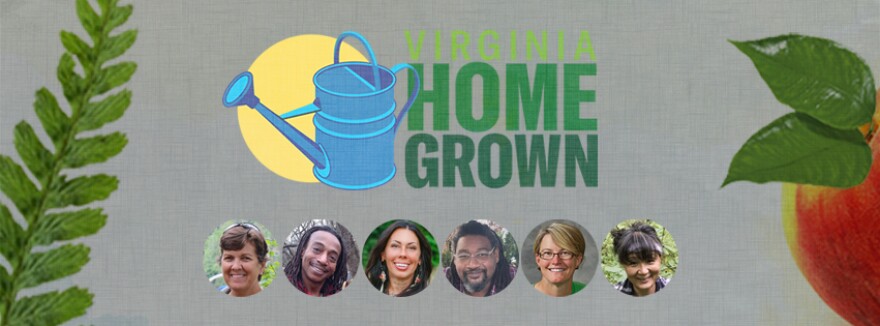VA-HOMEGROWN-S22-FACE-BANNER_6_HEADS.jpg