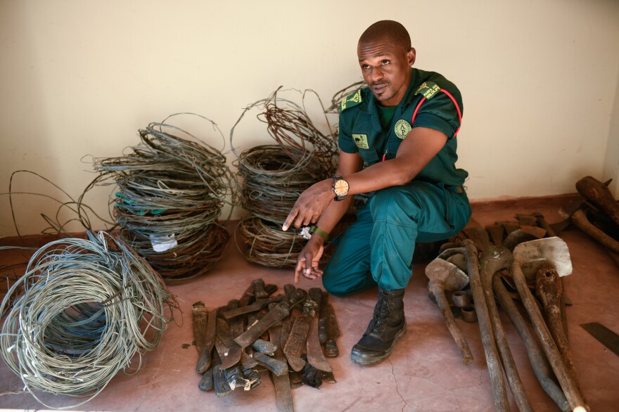 Paul Chidyera, head of law enforcement at Liwonde, is surrounded by some of the snares his team picks up in the park. Snaring an animal involves using a simple piece of steel wire with a loop in the middle, hung between two trees. Typically, Chidyera says, poachers will use branches to block off a regular worn path through the savanna so animals make a detour into the snare.