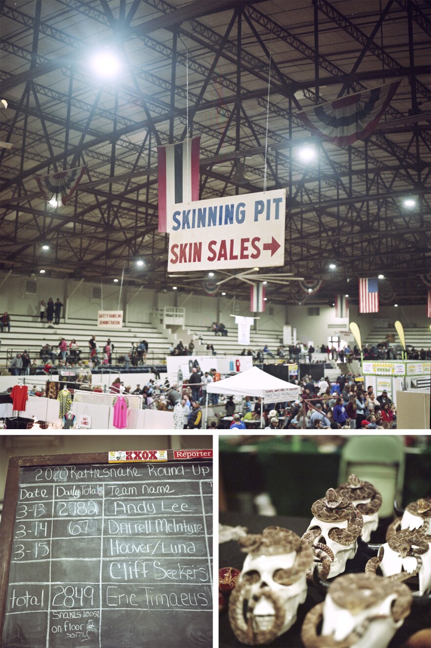 Top: On average, 4,000 pounds of snake are rounded up every year. Left:<strong> </strong>A chalkboard of the 2020 Rattlesnake Roundup teams. Right: Taxidermied rattlesnakes for sale at a vendor's booth.