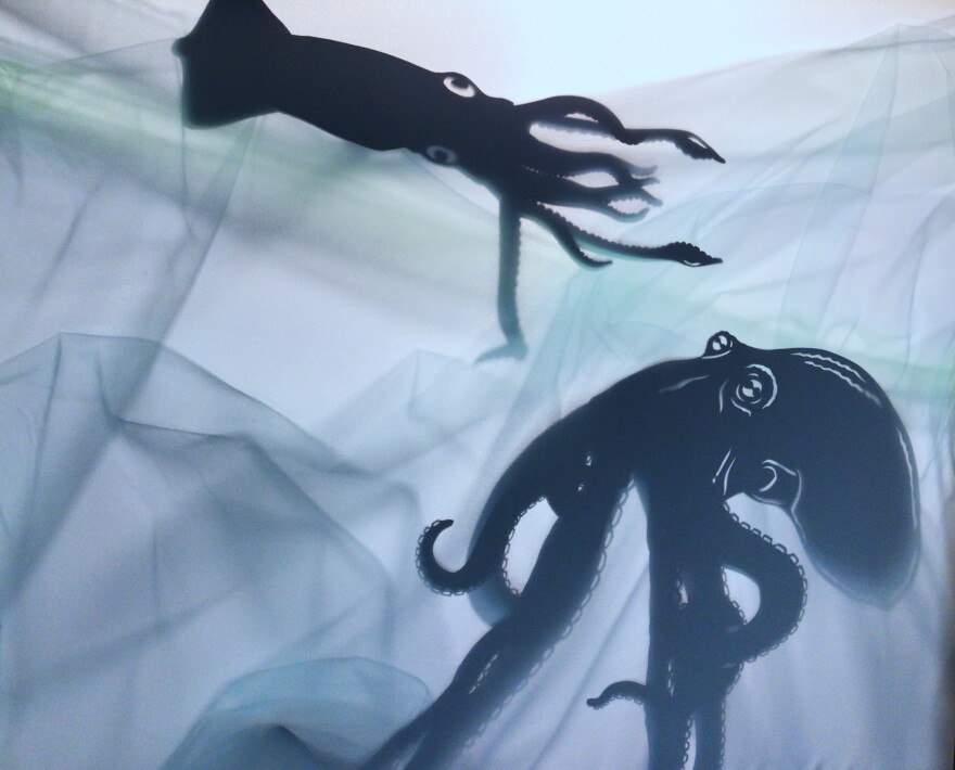 the-squid-the-octopus-jim-julien-3040.jpg