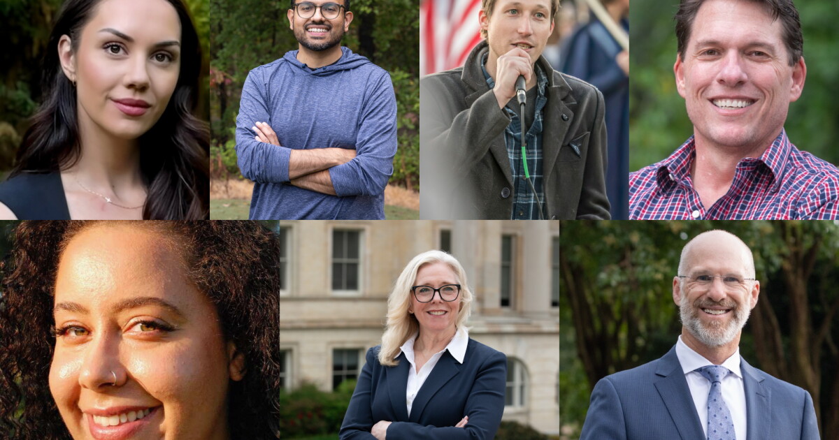 Seven Democrats jockey for position in 1st Congressional District primary