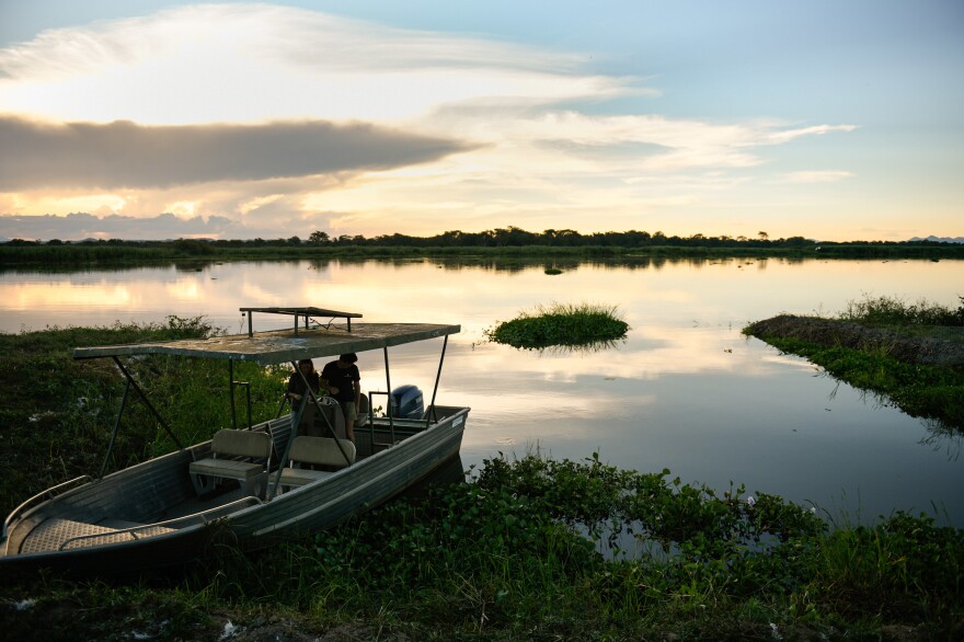 The Shire River is the largest river in Malawi. A 17-mile section of the palm-tree-lined waterway runs through the heart of Liwonde National Park. At dusk, the river becomes a gathering place for animals in the park. The river looks peaceful, but it has the dubious distinction of being one of the most crocodile infested bodies of water in Africa.