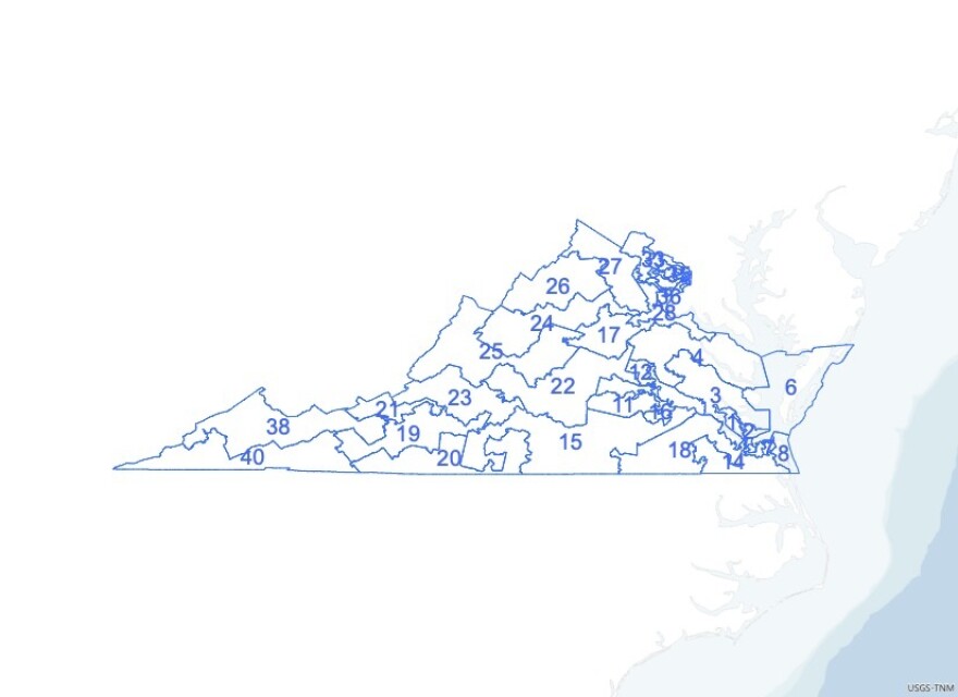 GA senate OLD.jpg