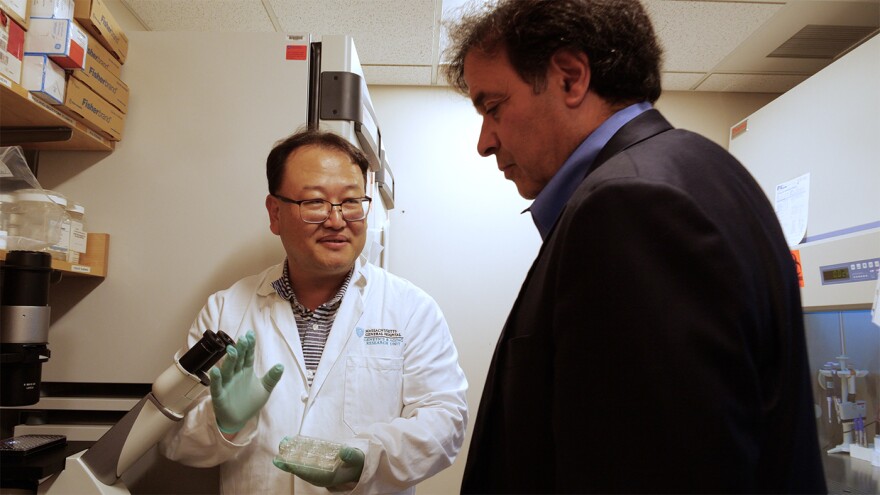 Alzheimer's: What You Can Do