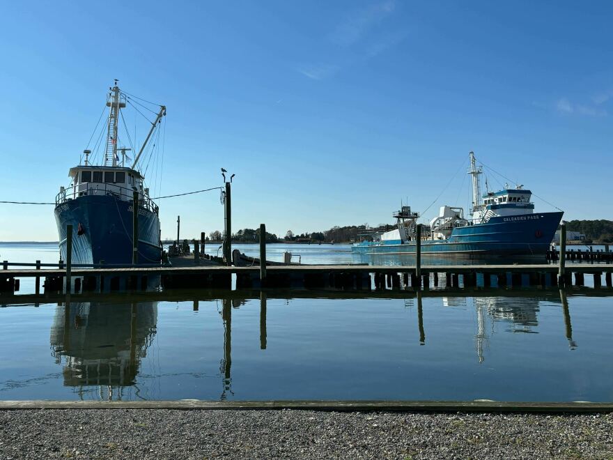 Omega Protein's boats docked along Cockrell's Creek at the company's menhaden plant in Reedville, Virginia.