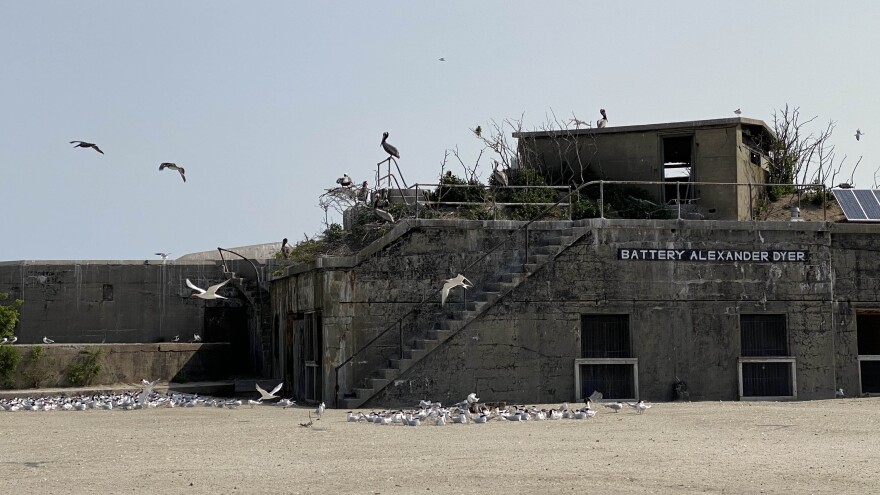 An overgrown military building with birds flying around and resting on it
