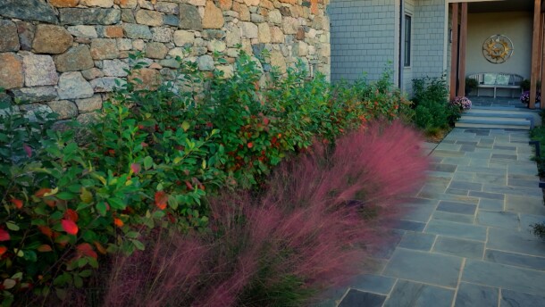 Watch | VPM watch-vpm