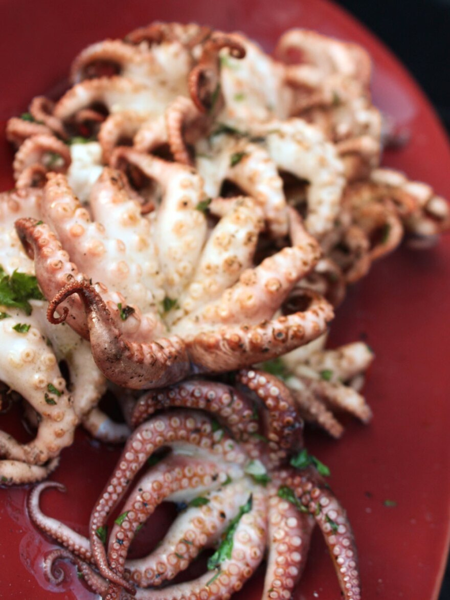 Grilled Baby Octopus