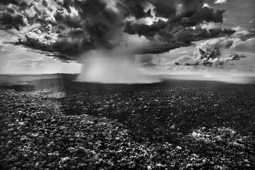 The rain is so intense in Serra do Divisor National Park that it looks like an atomic mushroom cloud. State of Acre, 2016.