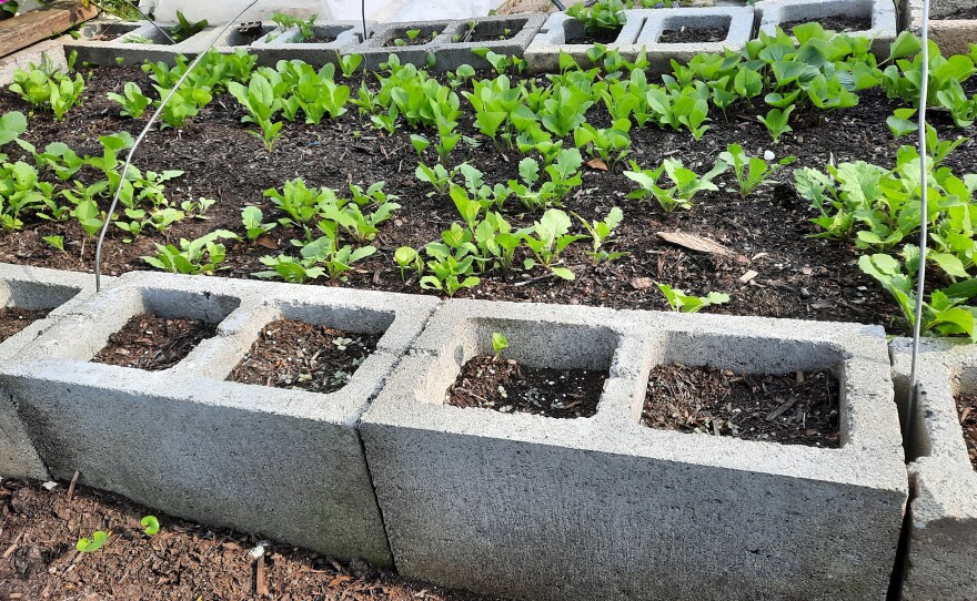 Replacing Deteriorating Garden Boxes with Sustainable Materials