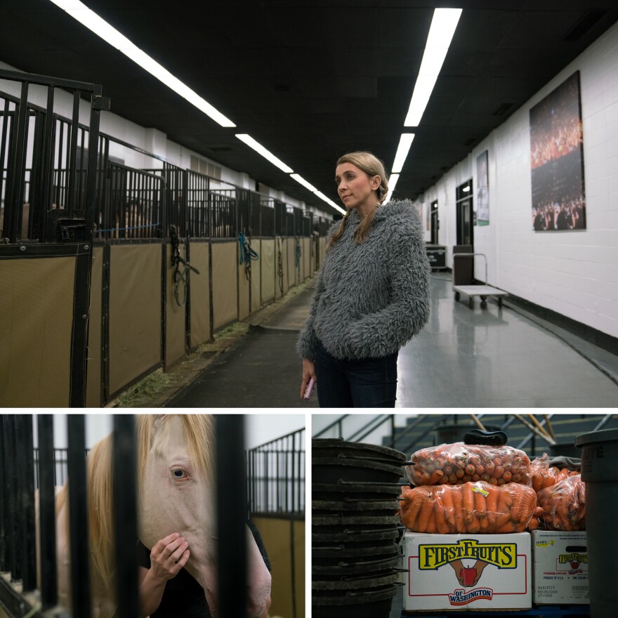 Tatiana Tchalabaeva was a professional rhythmic gymnast and an acrobat in the Moscow State Circus. Now she and her husband, a horse trainer, travel and perform with 21 horses. They own even more on their farm in Florida.