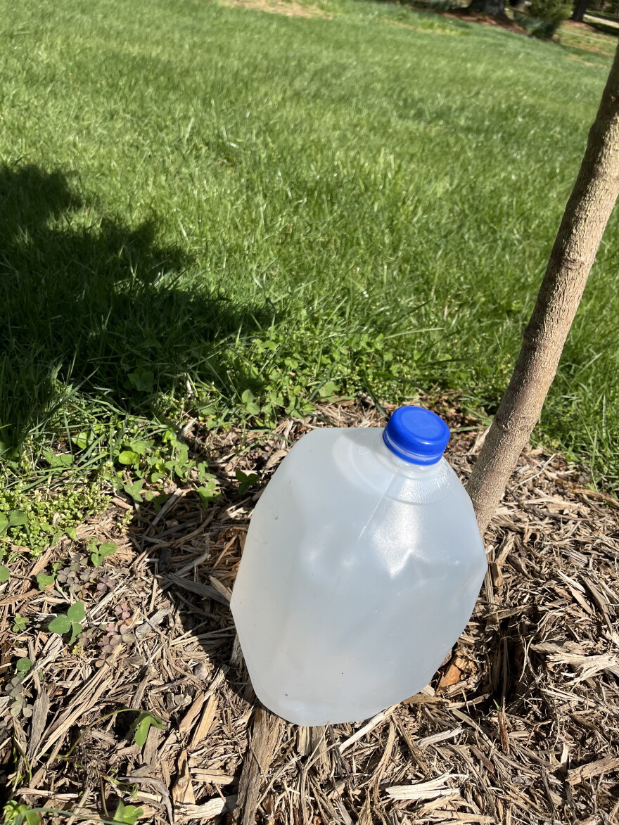 Simple Container Drip Sun, Water & Sustainability: Simple Steps for a Resilient Garden