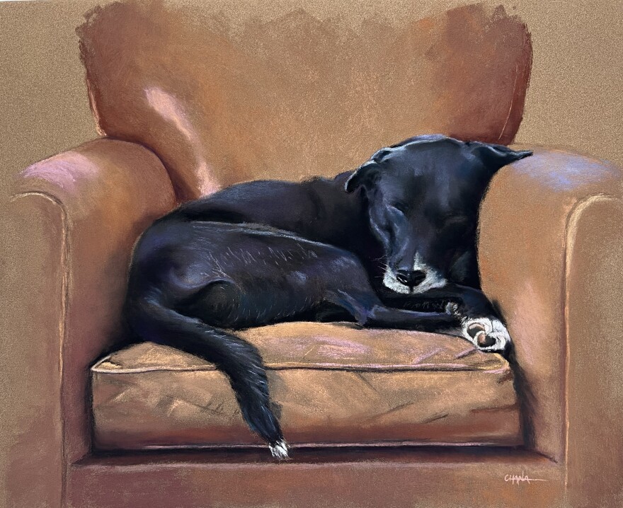 A painting of a black dog curled up asleep in a brown chair.