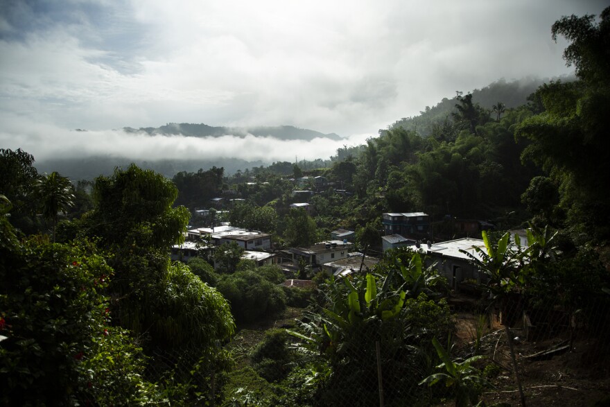 The view from Torres' house in the mountains of Utuado, Puerto Rico.