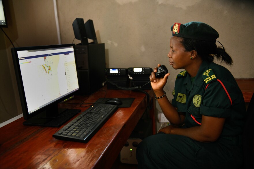 Zione Mzakwacha, a parks and wildlife assistant at Liwonde, receives information from rangers via radio. Before EarthRanger was employed, knowing precisely where ranger teams were required a lot of back and forth on the radio. Today, managers can see where their teams are in near real time.